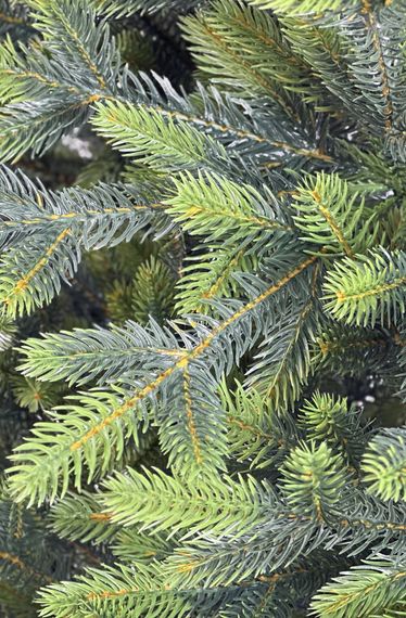 Искусственная ель Прованс 180 см