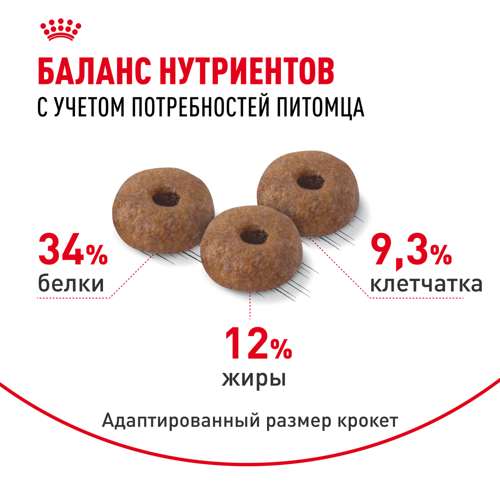Royal Canin Appetite Control Care Аппетайт контрол кэа Корм сухой для взрослых кошек контроль выпрашивания корма 3,5кг