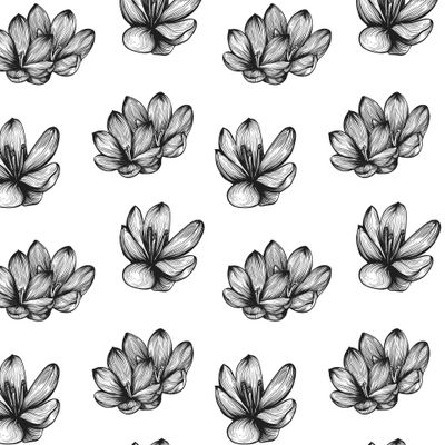 Черно-белый цветы шафрана.Крокусы. Винтажный узор
