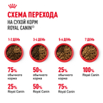 Royal Canin Persian Kitten Персиан Киттен Корм сухой для котят персидской породы до 12 месяцев 10кг