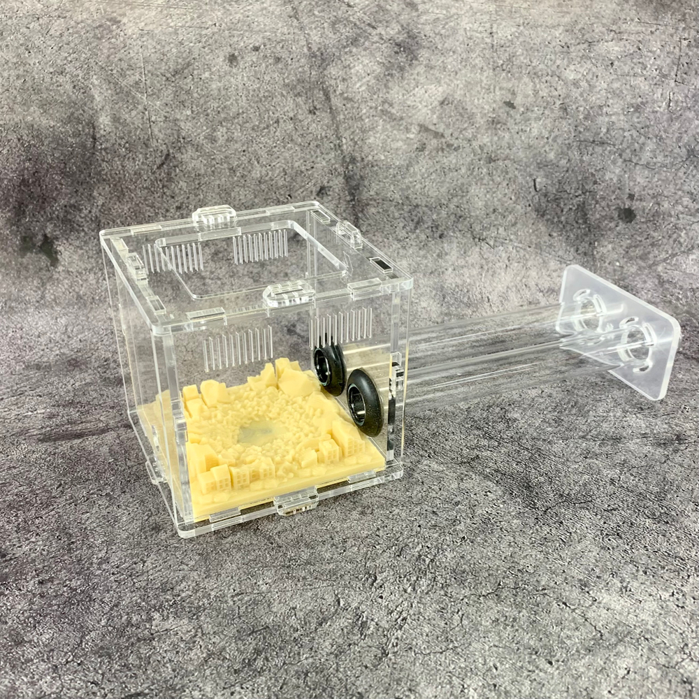 Арена для муравьев, мини формикарий с инсталляцией