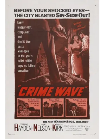 Волна преступности (1954) (DVD-R)