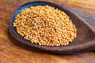 Семена горчицы