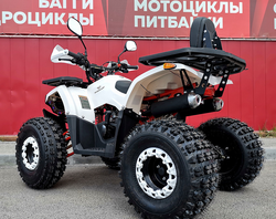 Квадроцикл PROMAX WILD 2.0 190 LUX