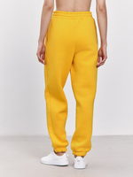 Брюки женские с начесом (желтый)