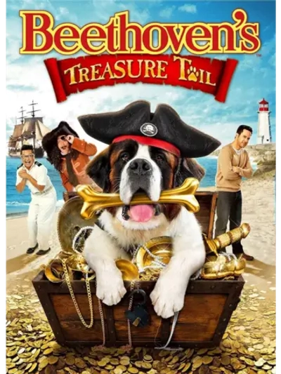 Сокровища Бетховена (2014) (DVD-R)