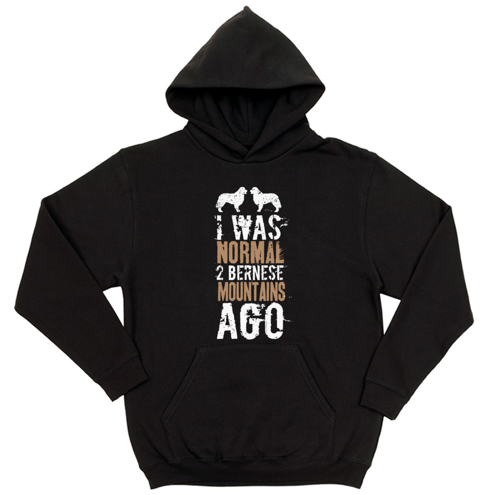 Толстовка "Был нормальным 2 Берна назад"