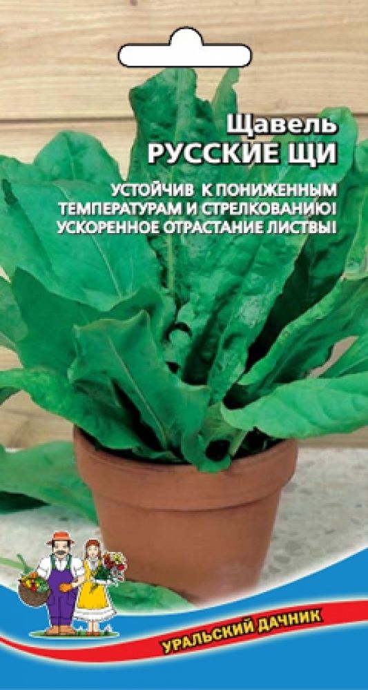 Семена Щавель Русские Зеленые Щи (УД)