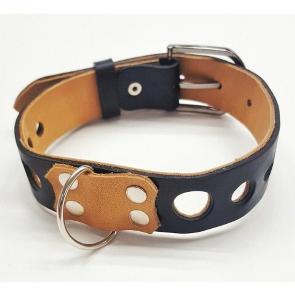 Ошейник Pit Bull 05