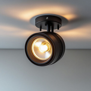 Потолочные споты