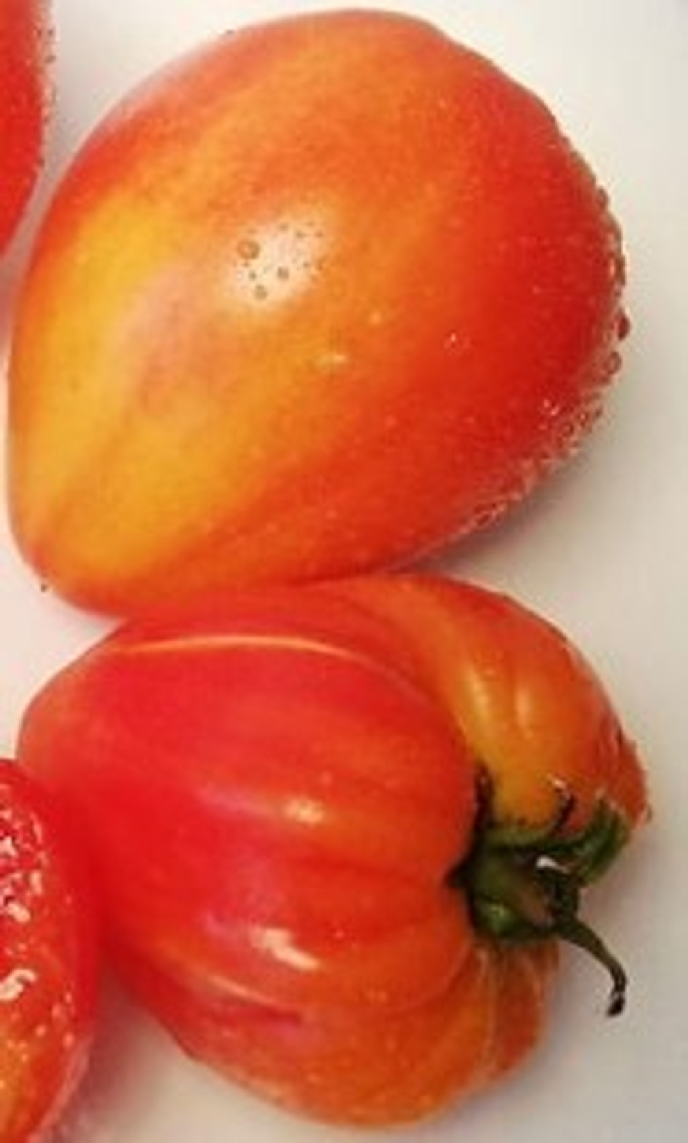 Сердце говядины биколор Beef heart bicolor