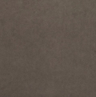 Микровелюр Бэст 23