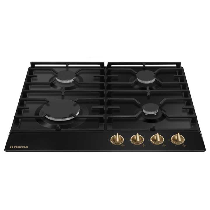 Газовая панель Hansa BHGA610791