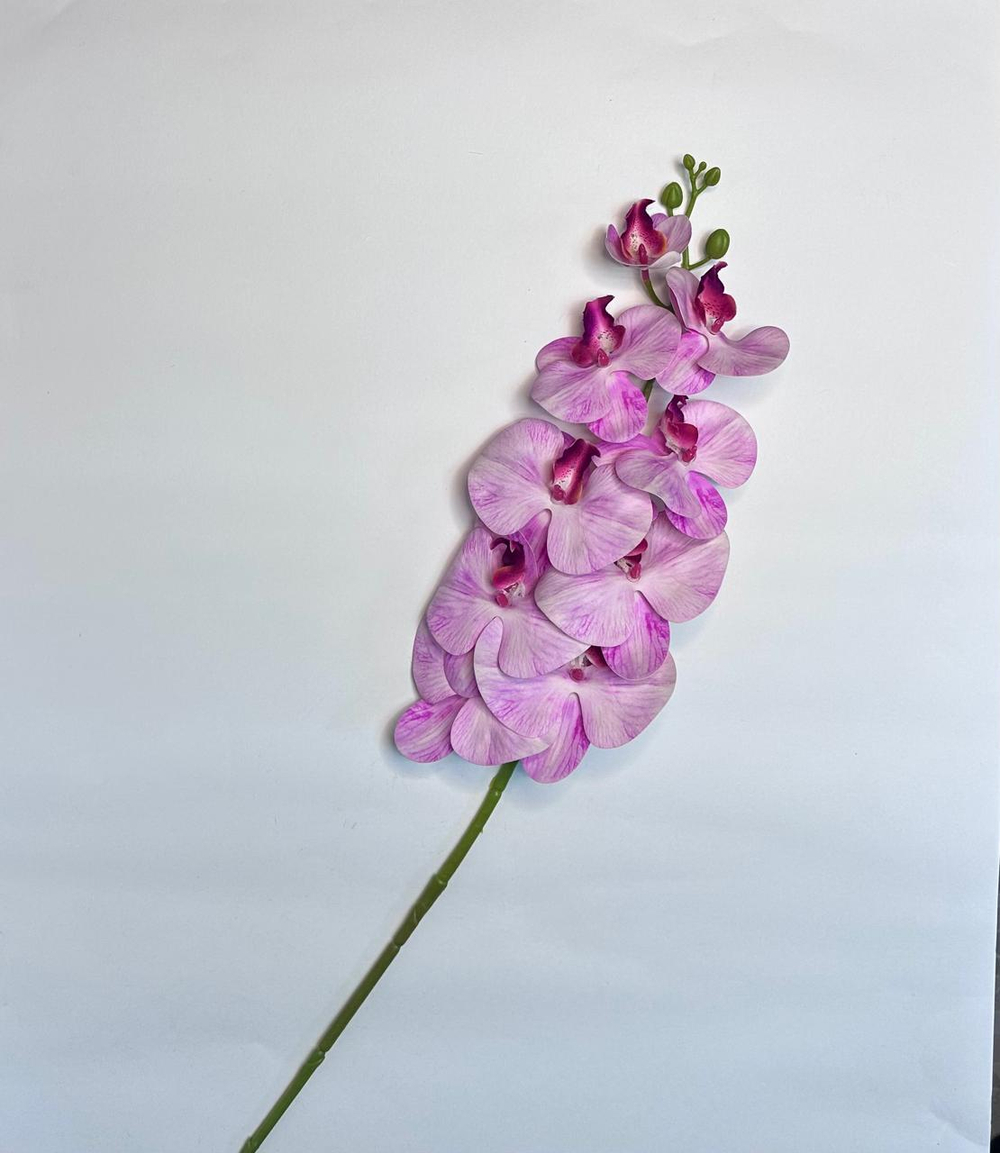 Орхидея ветка