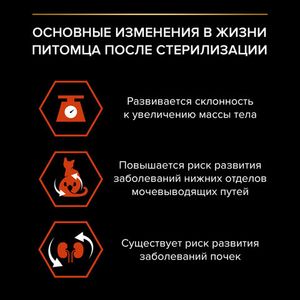 Сухой корм Pro Plan Sterilised VITAL FUNCTIONS для стерилизованных кошек для поддержания функций почек, мозга и иммунитета с лососем