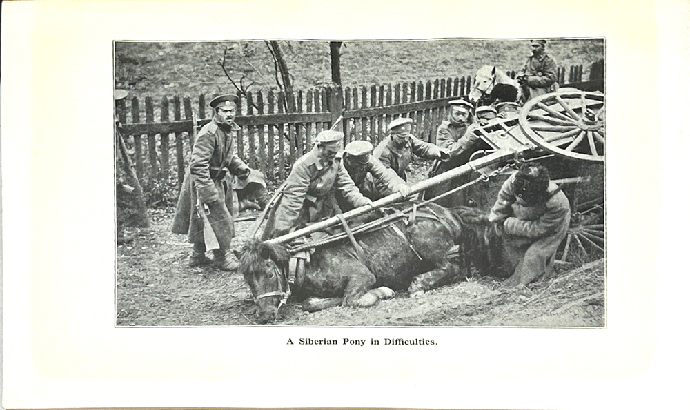 Уошбёрн С. Заметки на полях о русском фронте / фот. Дж. Мьюис. 1915 г.