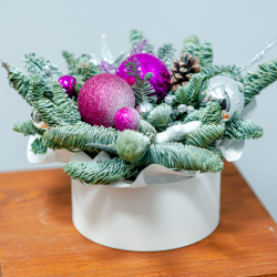 Новогодняя композиция из нобилиса 12