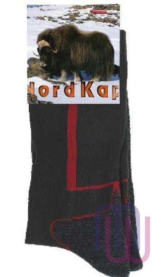 Термоноски NordKapp 976