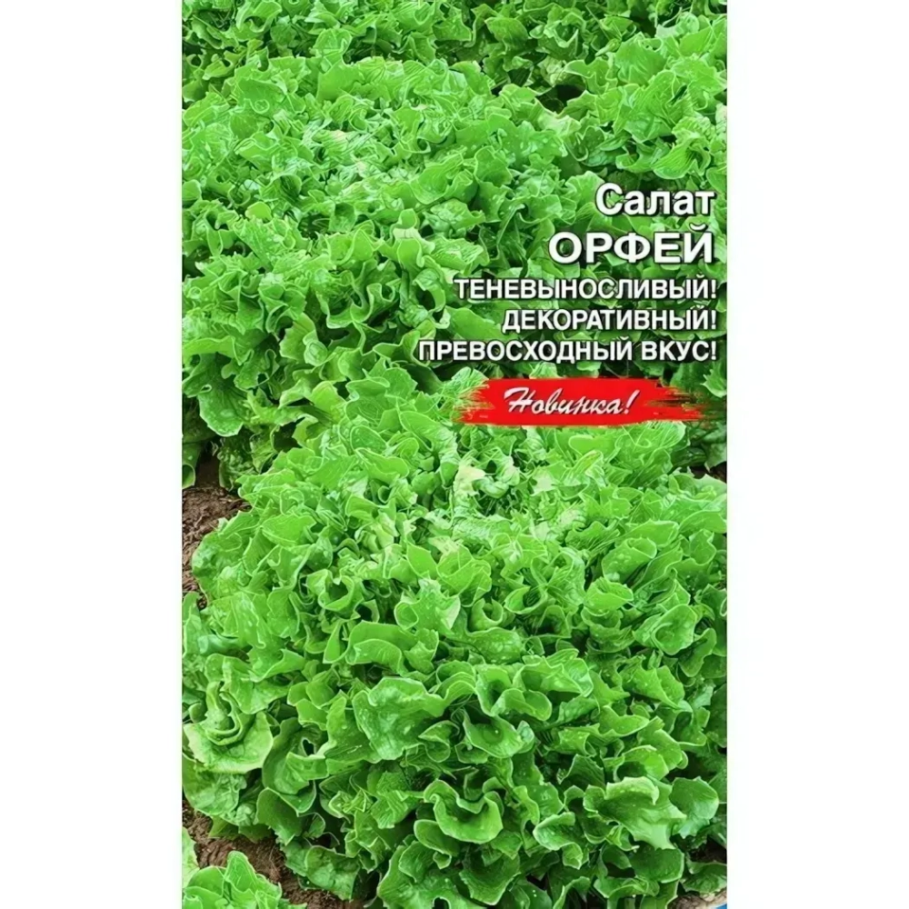 Семена Салат Орфей (УД) Е/П