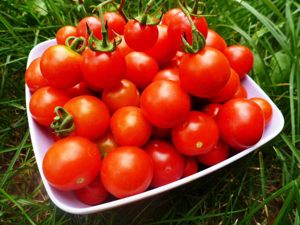 Помидоры — Crazy Cherry Tomato