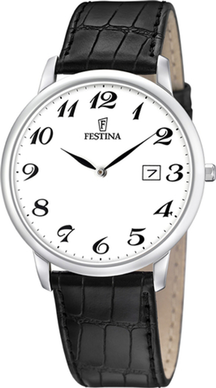 Мужские наручные часы Festina F6806/5