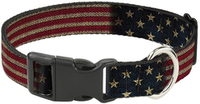 Buckle-Down Ошейник Флаг США для собак, с пластиковой застёжкой, мультицвет, L (38-66 см)