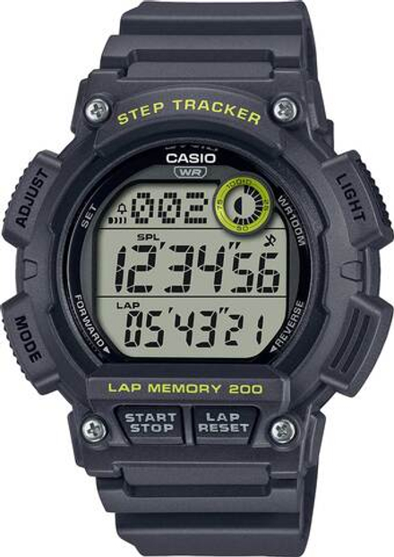 Часы Casio WS-2100H-8A