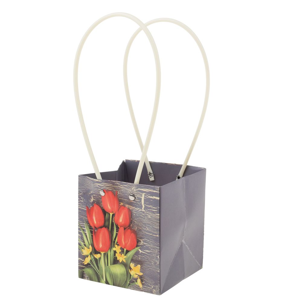 Пакет квадрат М 11,5x10,5xH13 ЦВЕТЫ Красный-серый