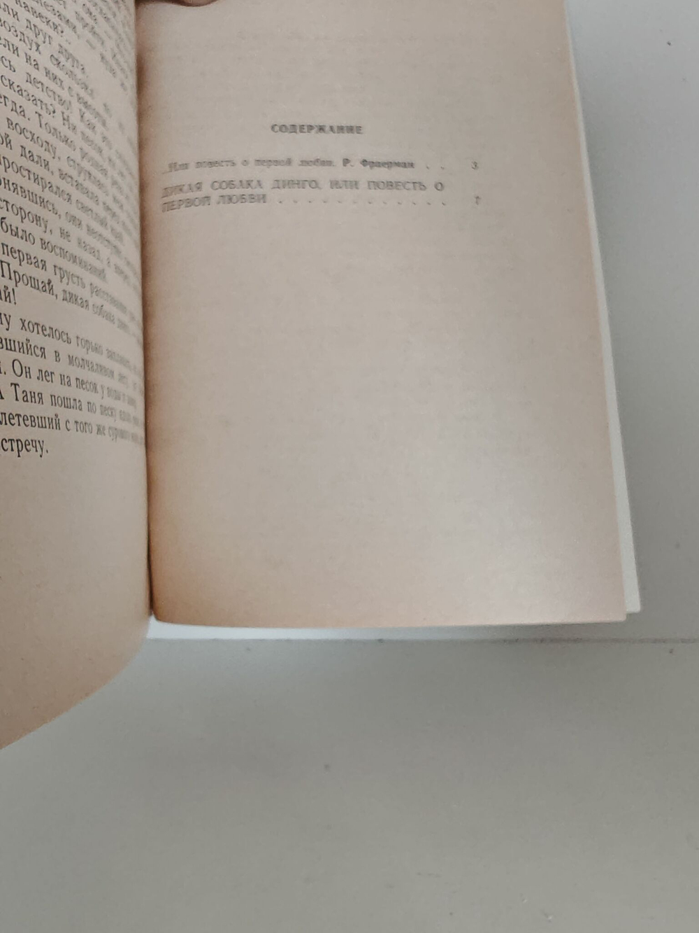 Дикая собака Динго, или Повесть о первой любви