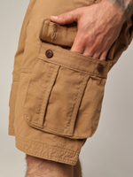 Шорты карго Abercrombie & Fitch AB603
