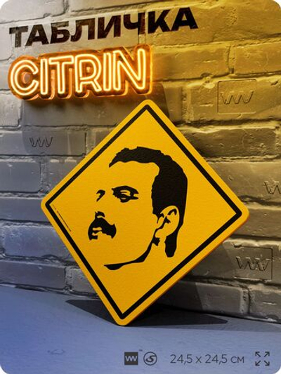 Табличка декоративная "Фредди Меркьюри, Freddie Mercury" на дверь и стену, прикольная штука в подарок, декоративный знак, 24,5х24,5 см, пластиковая, Айдентика Технолоджи