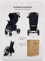 Коляска прогулочная Rant Basic Alpine Black 2026