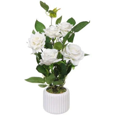 Цветочная композиция «Розовый куст» 43см в горшке, цвет белый