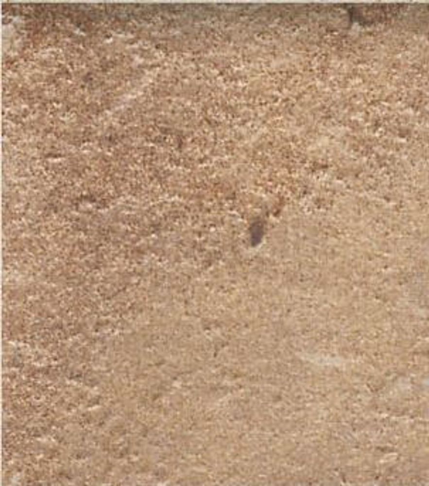 Natucer D&#39; Anticatto Marrone 22.5x22.5