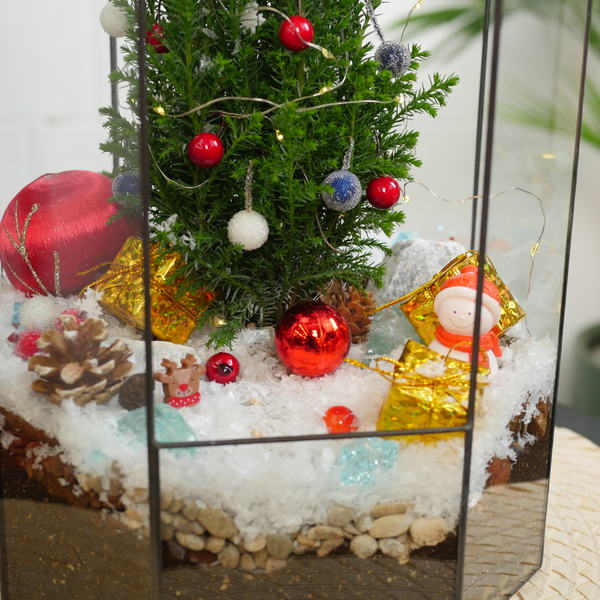 Готовый новогодний флорариум Бонсариум 35см