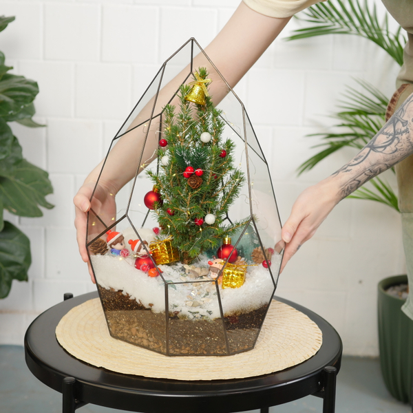 Готовый новогодний флорариум с елью Айсберг