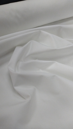 Рубашечный хлопок Canclini for Zegne