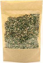 Золотарник (золотая розга)