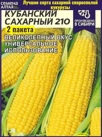 Семена раннеспелой кукурузы Кубанский сахарный 210