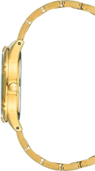 Женские часы Anne Klein AK/3768BMGB