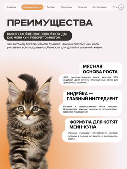 Корм сухой для котят породы Мейн-кун, с индейкой, 2 кг, QUATTRO