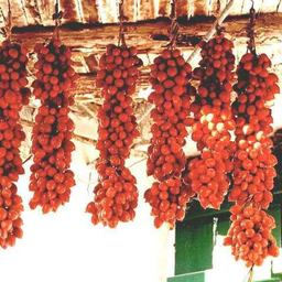 Экзотическая Комната