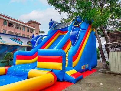 Надувная водная горка с бассейном «Дельфины» 15*6*8 м