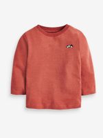 Лонгслив для мальчика Next 627-671, 5 шт., Молочный, Кирпичный, Бирюзовый