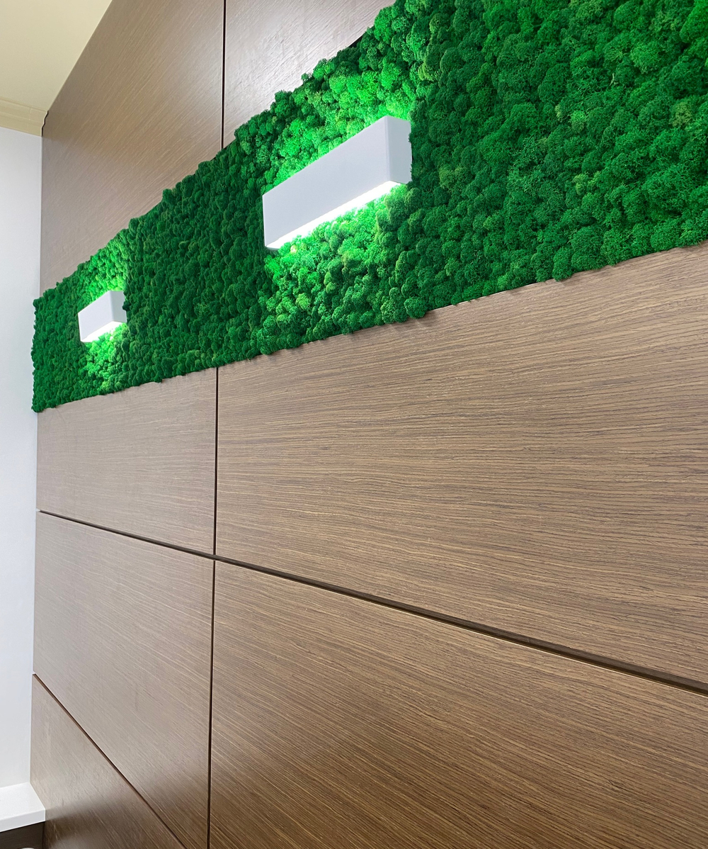 Вертикальное озеленение стабилизированным мхом зала заседания Дома Правительства Республики Адыгея