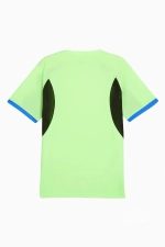 Футболка Puma individualLIGA - зеленый