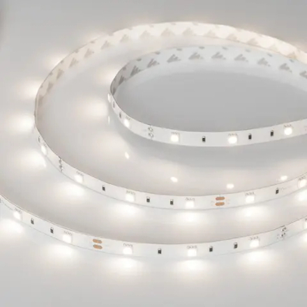 Светодиодная лента RT-B30-10mm 12V Day4000 (7.2 W/m, IP20, 5060, 5m) (Arlight, 7.2 Вт/м, IP20) 011570(2)