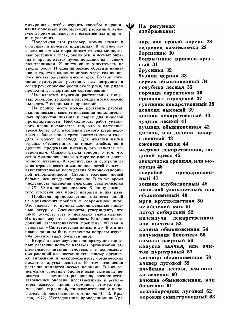 Дикорастущие съедобные растения в нашем питании | А.К. Кощеев