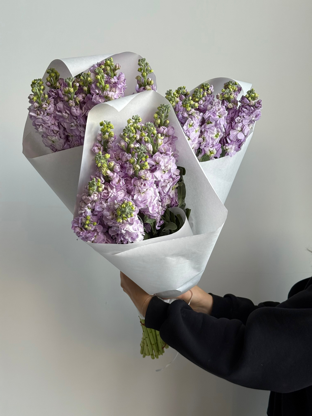 Охапка маттиолы в фиолетовом оттенке 10 шт