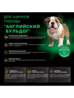 Корм сухой для щенков породы Английский бульдог, премиум полнорационный комплекс, с ягненком, 12 кг, QUATTRO